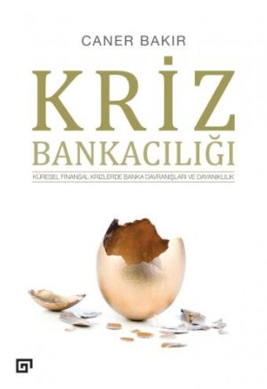 KRİZ BANKACILIĞI KÜRESEL FİNANSAL KRİZLERDE BANKA DAVRANIŞLARI VE DAYANIKLILIK