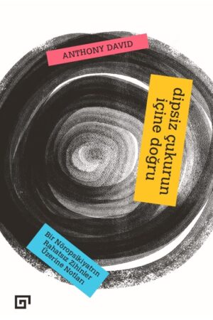 DİPSİZ ÇUKURUN İÇİNE DOĞRU BİR NÖROPSİKİYATRIN RAHATSIZ ZİHİNLER ÜZERİNE NOTLARI