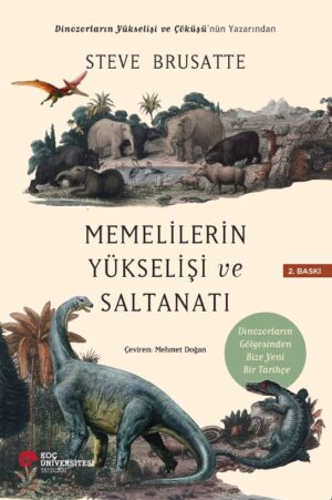 MEMELİLERİN YÜKSELİŞİ VE SALTANATI