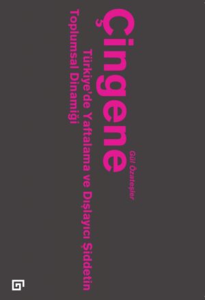 ÇİNGENE TÜRKİYE'DE YAFTALAMA VE DIŞLAYICI ŞİDDETİN TOPLUMSAL DİNAMİĞİ